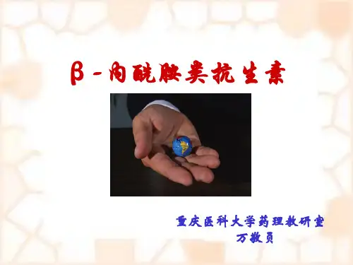 青霉素类 (2)