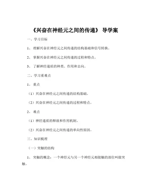 《兴奋在神经元之间的传递》 导学案