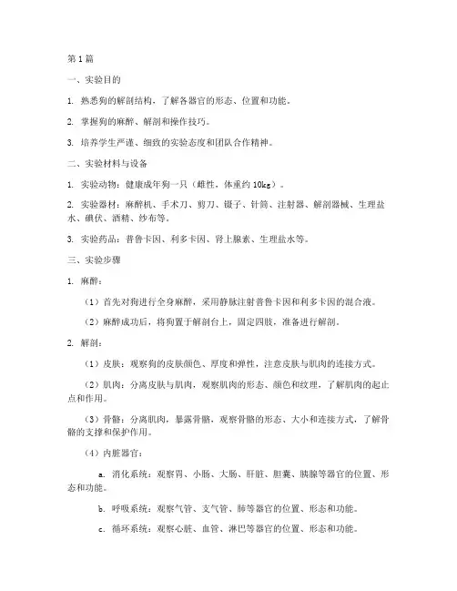 狗麻醉解剖实验报告(3篇)