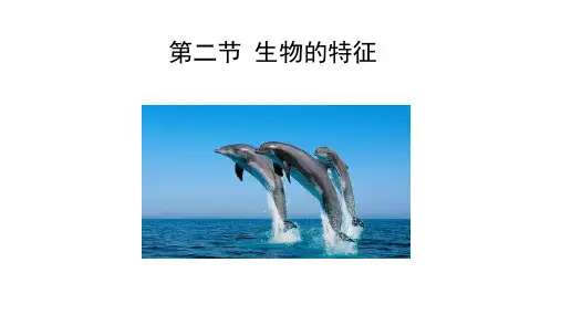 1.1.2 生物的特征   课件(共17张PPT) 生物人教版七年级上册