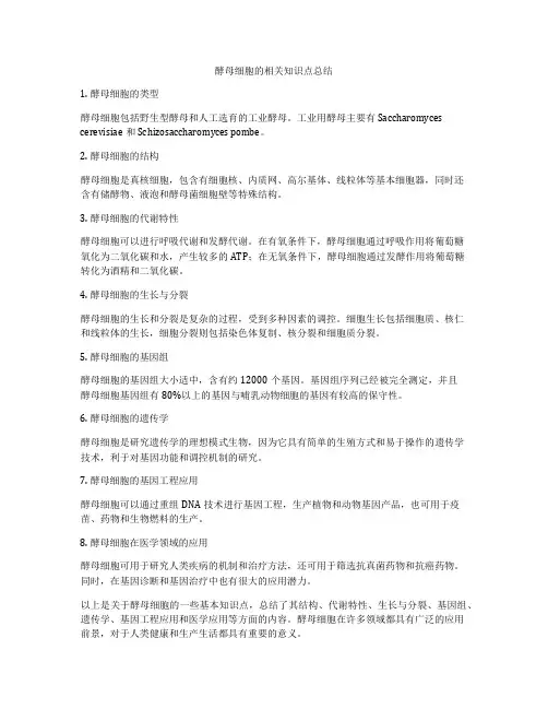 酵母细胞的相关知识点总结