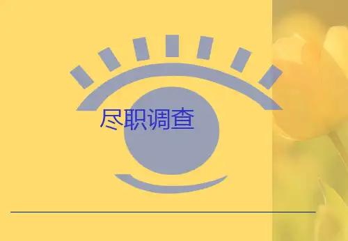 四大所做的财务尽职调查模板PPT文档