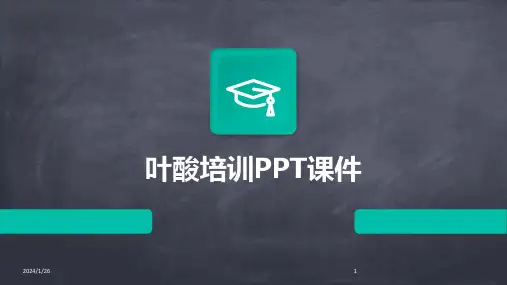 叶酸培训PPT课件