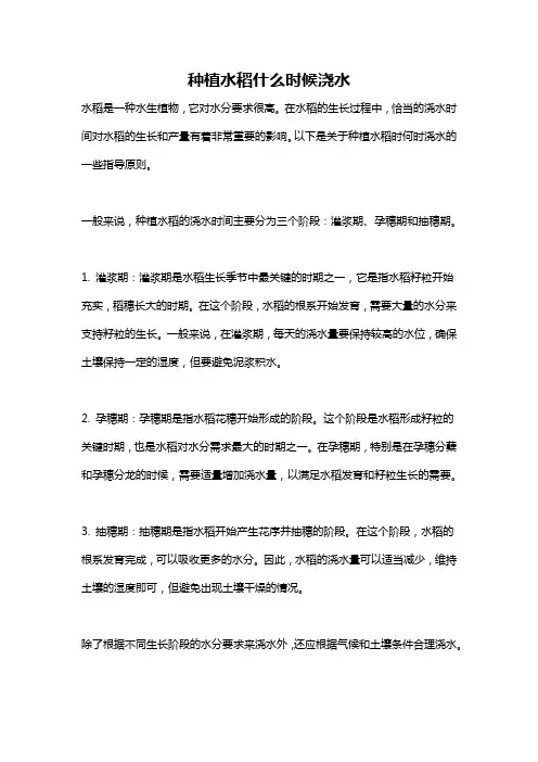种植水稻什么时候浇水