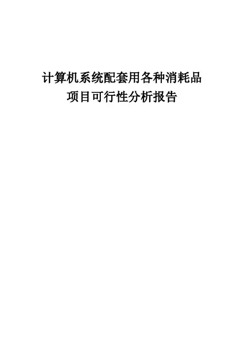 2024年计算机系统配套用各种消耗品项目可行性分析报告