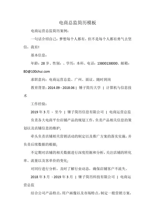 电商总监简历模板