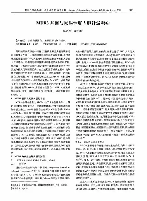 MDR3基因与家族性肝内胆汁淤积症