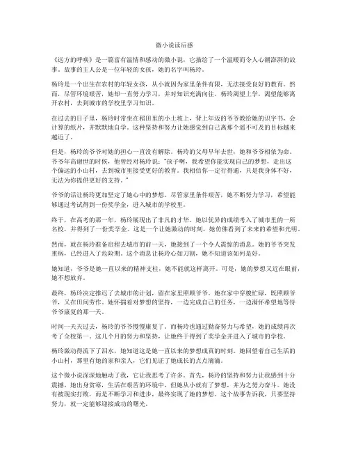 微小说读后感