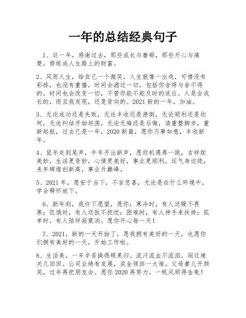 一年的总结经典句子