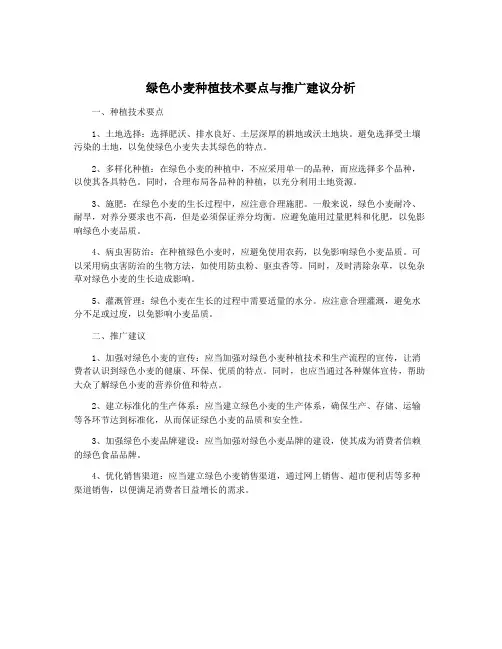 绿色小麦种植技术要点与推广建议分析