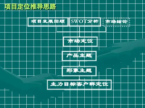 合富辉煌天津国际新城房地产项目定位报告8535