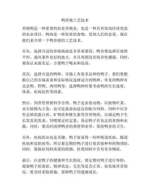 鸭养殖工艺技术
