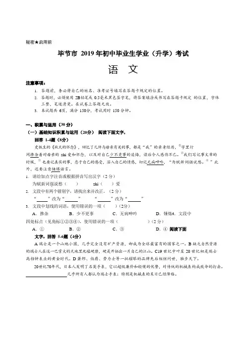 贵州省毕节市2019年中考语文试卷