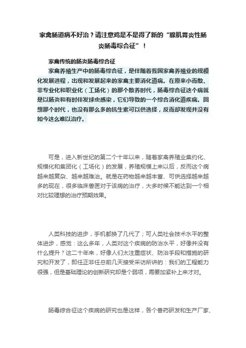家禽肠道病不好治？请注意鸡是不是得了新的“腺肌胃炎性肠炎肠毒综合征”！