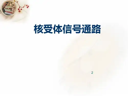 核受体信号通路  ppt课件