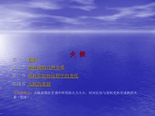 (烹调工艺学课件)第九讲火候