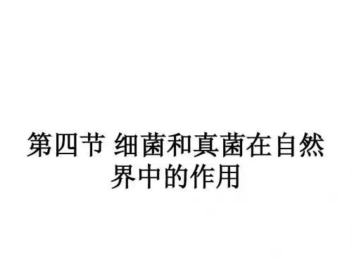 第四节细菌和真菌在自然界中的作用