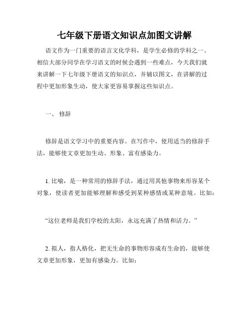 七年级下册语文知识点加图文讲解
