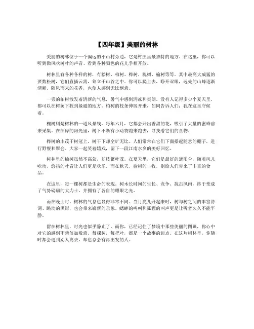 【四年级】美丽的树林