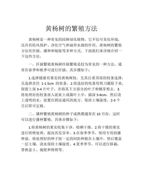 黄杨树的繁殖方法