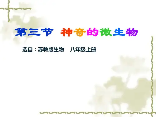 苏教版初中生物八年级上册 5.14.3 神奇的微生物 课件(共25张PPT)
