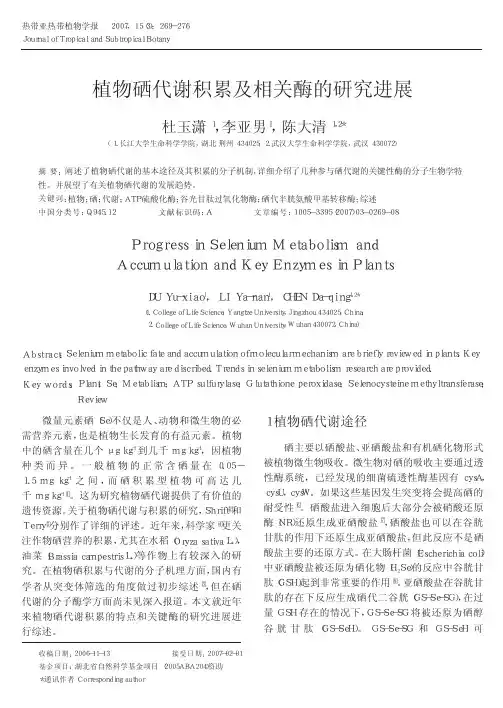 植物硒代谢积累及相关酶的研究进展