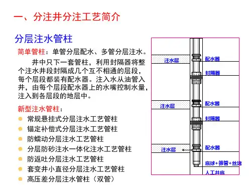 精选分注井测调工艺及应用