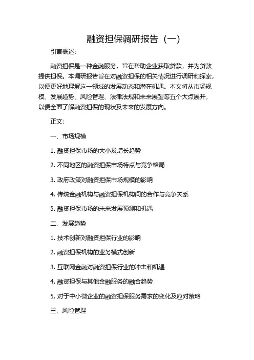 融资担保调研报告(一)