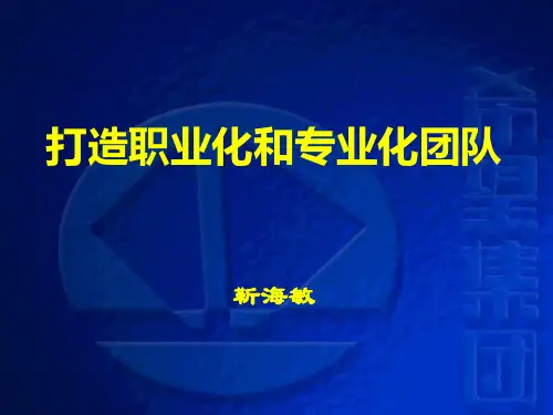 打造职业化和专业化的团队