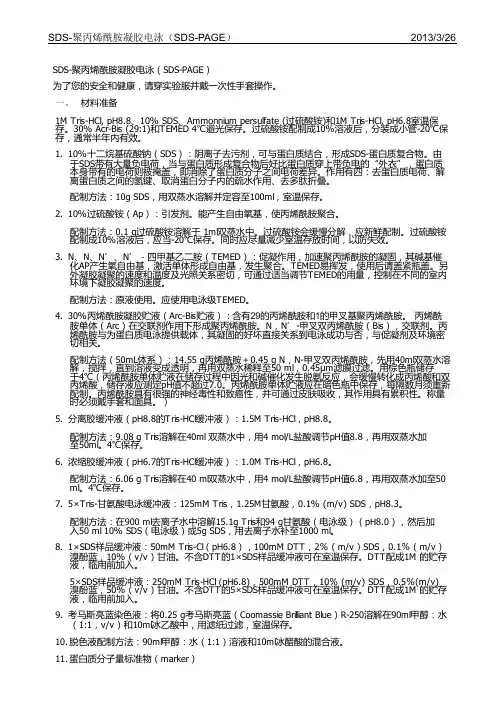 SDS-聚丙烯酰胺凝胶电泳(SDS-PAGE)
