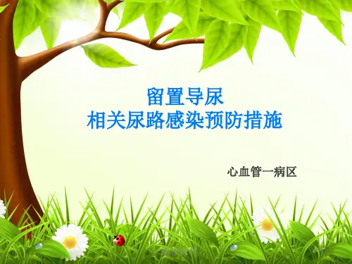 导尿管感染预防与控制ppt课件