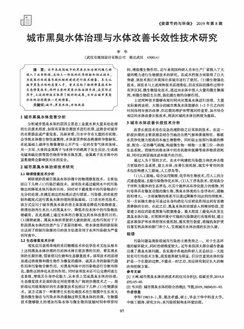 城市黑臭水体治理与水体改善长效性技术研究