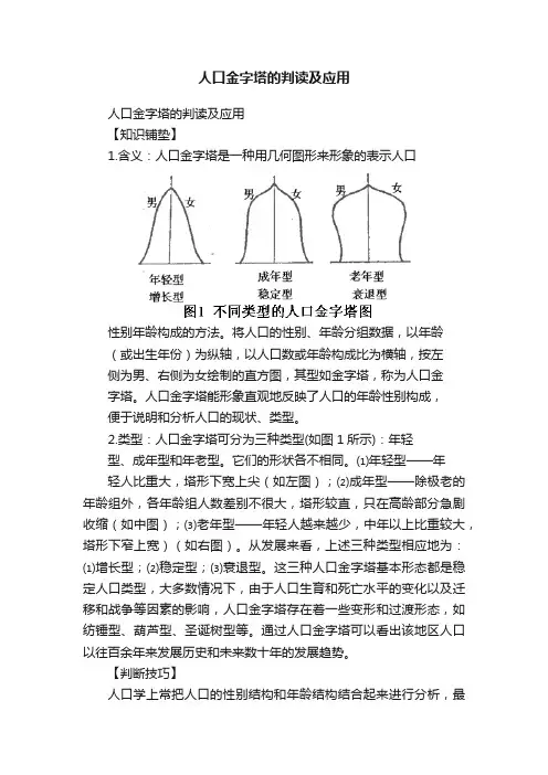 人口金字塔的判读及应用