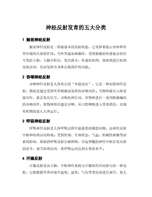 神经反射发育的五大分类