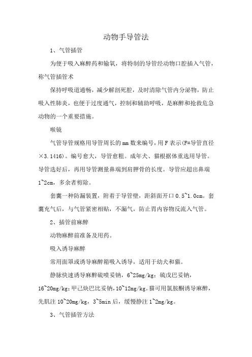 动物手导管法