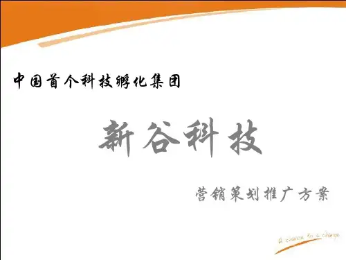 王志纲工作室成都天府新谷营销策划方案精品文档