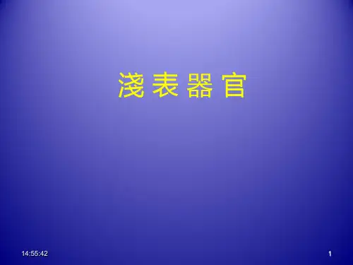 浅表器官(全套221页PPT课件)