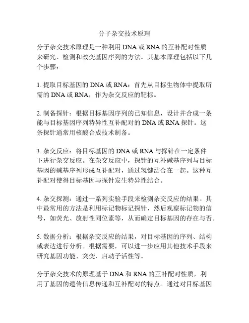 分子杂交技术原理