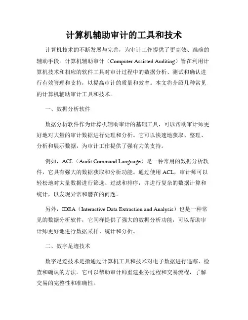 计算机辅助审计的工具和技术