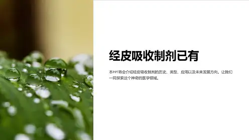 《经皮吸收制剂已有》课件