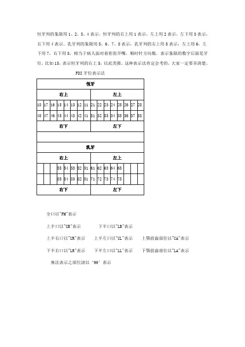 培训8牙位记录法