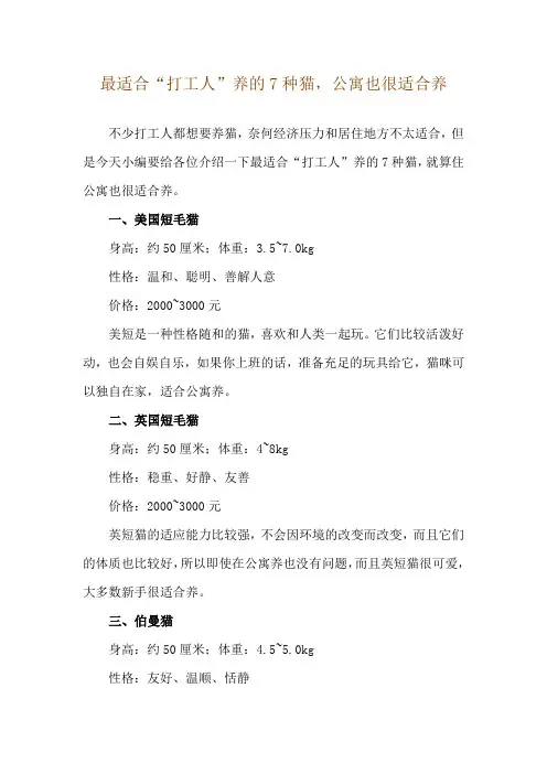 最适合“打工人”养的7种猫,公寓也很适合养