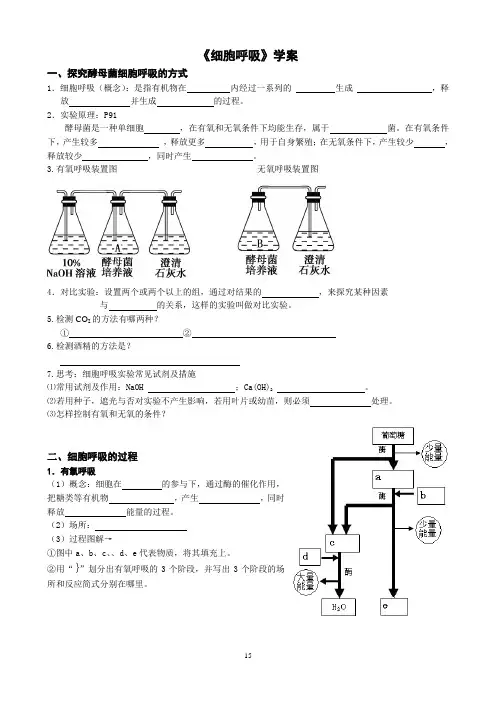 《细胞呼吸》导学案