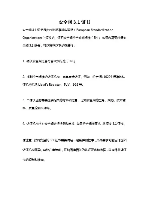 安全阀3.1证书