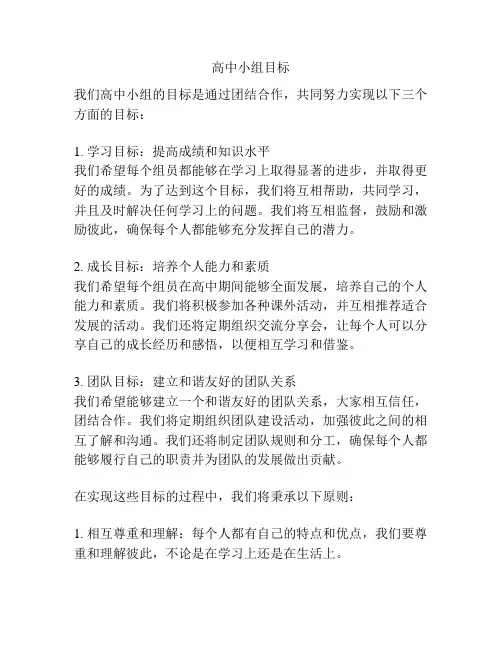 高中小组目标