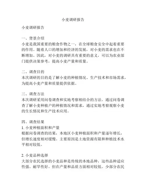 小麦调研报告