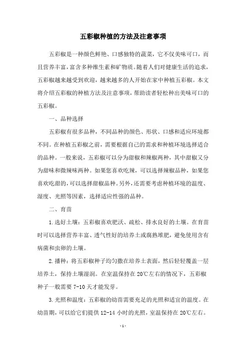 五彩椒种植的方法及注意事项