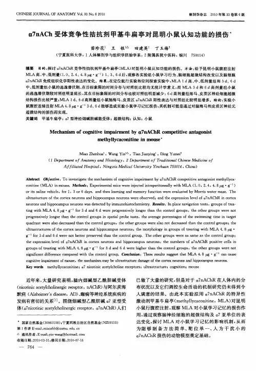 α7nACh受体竞争性拮抗剂甲基牛扁亭对昆明小鼠认知功能的损伤