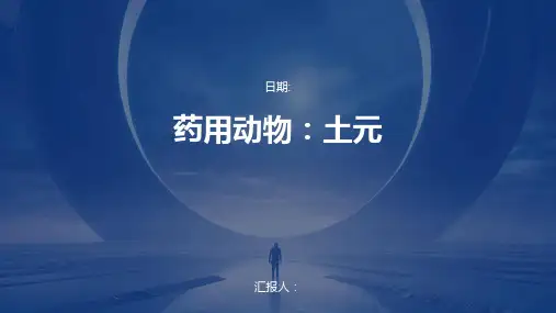 药用动物：土元