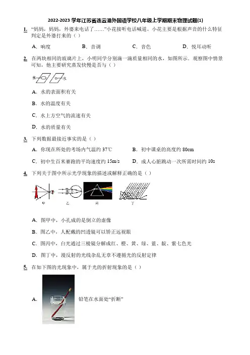 2022-2023学年江苏省连云港外国语学校八年级上学期期末物理试题(1)